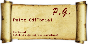 Peltz Gábriel névjegykártya